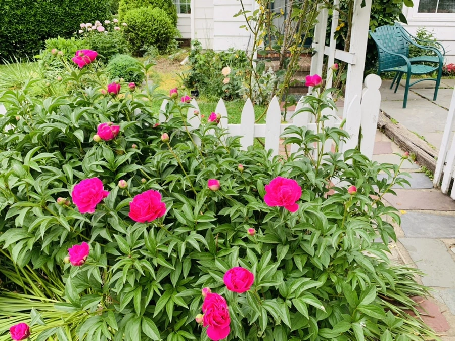 IMG_5438.jpg?type=w966