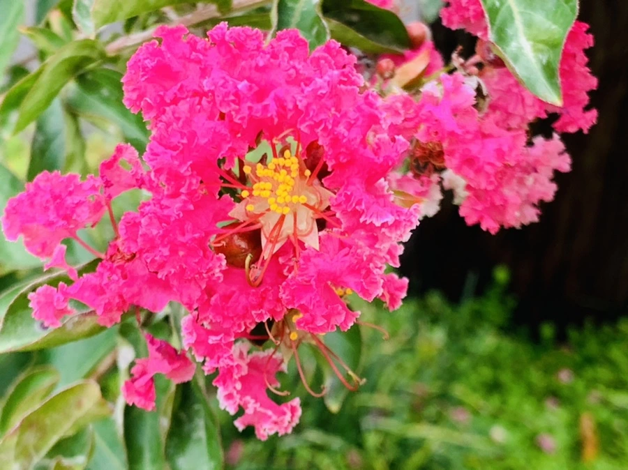 IMG_5963.jpg?type=w966