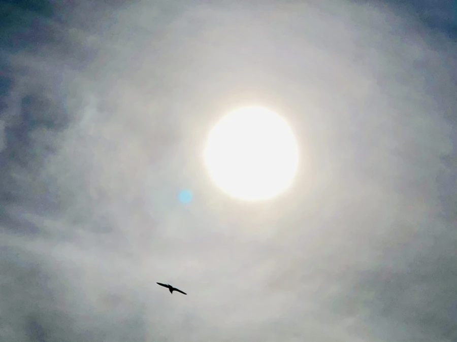 IMG_3115.jpg?type=w966