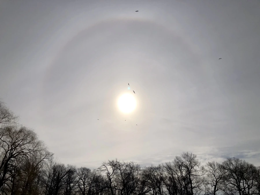 IMG_1679.jpg?type=w966