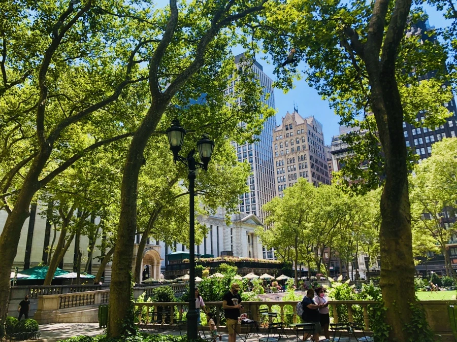 IMG_5295.jpg?type=w966