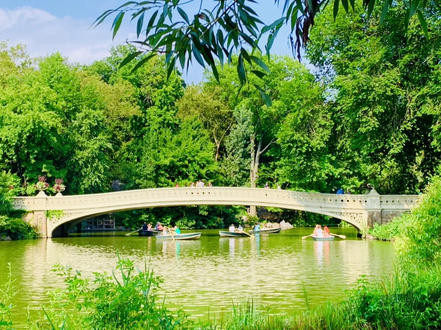 IMG_0661.jpg?type=w966