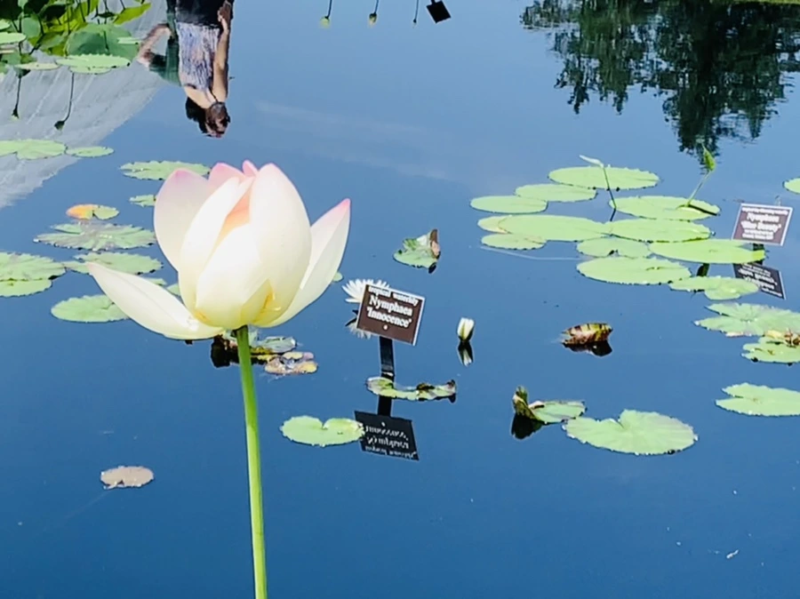 IMG_5395.jpg?type=w966