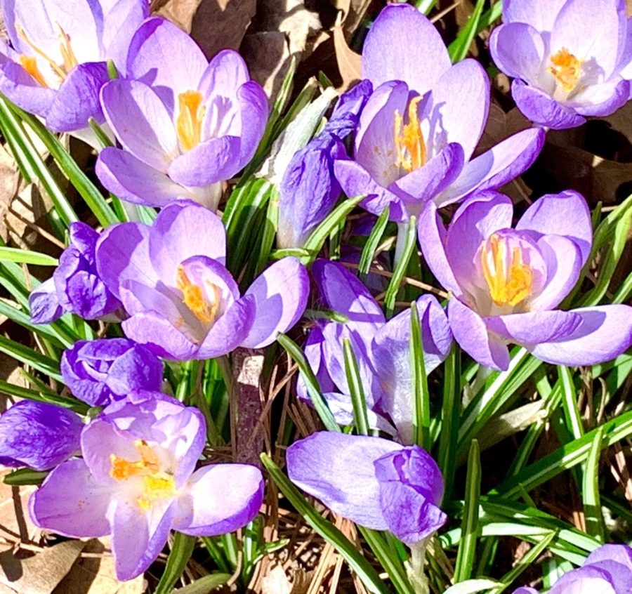 IMG_1274.jpg?type=w966