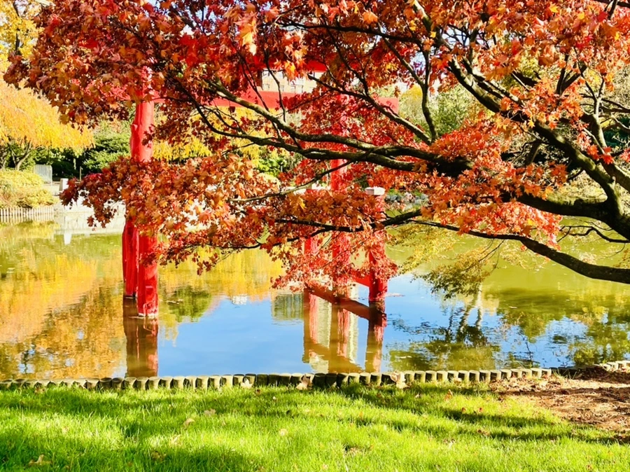 IMG_3131.jpg?type=w966