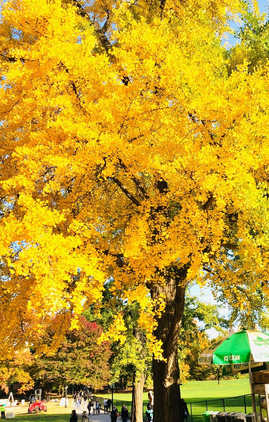 IMG_7554.jpg?type=w966