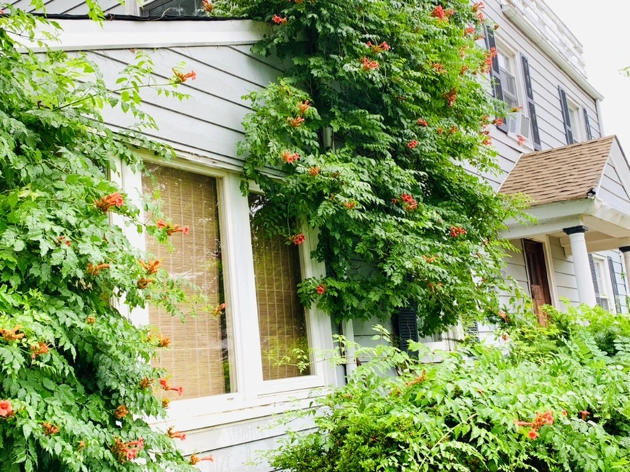 IMG_0040.jpg?type=w966