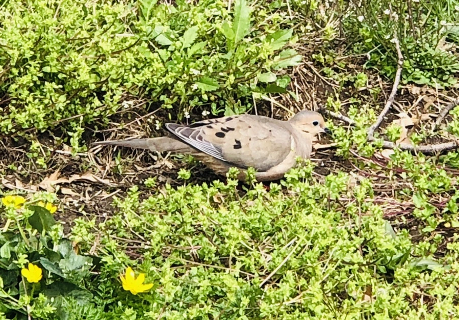 IMG_3092.jpg?type=w966