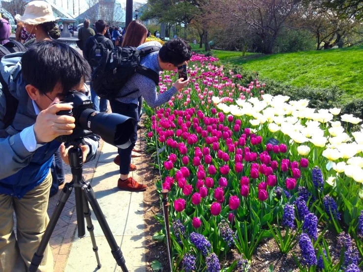 IMG_5243.JPG?type=w1