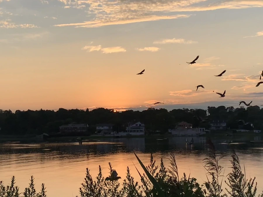 IMG_1249.jpg?type=w966