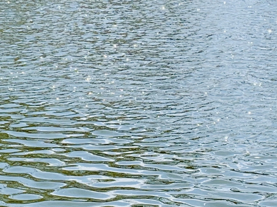 IMG_4484.jpg?type=w966