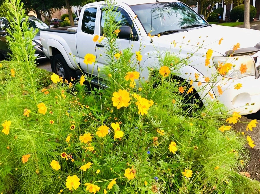 IqPYnkbSGrHL3c28sB0hK5Ai-gw