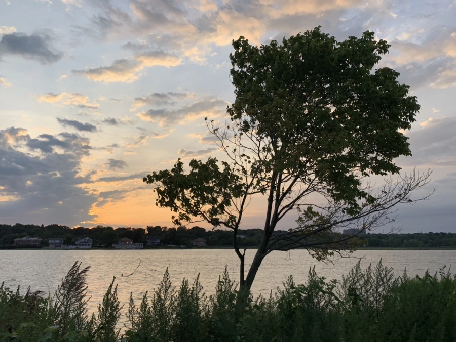 IMG_1715.jpg?type=w966