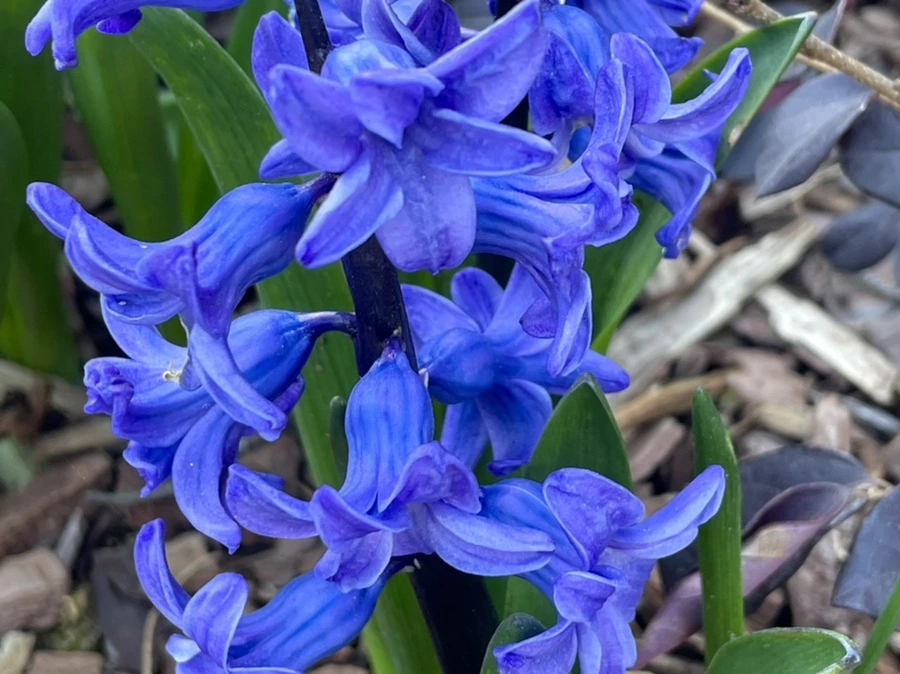 IMG_0521.jpg?type=w966