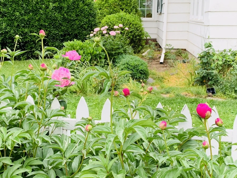 IMG_5435.jpg?type=w966