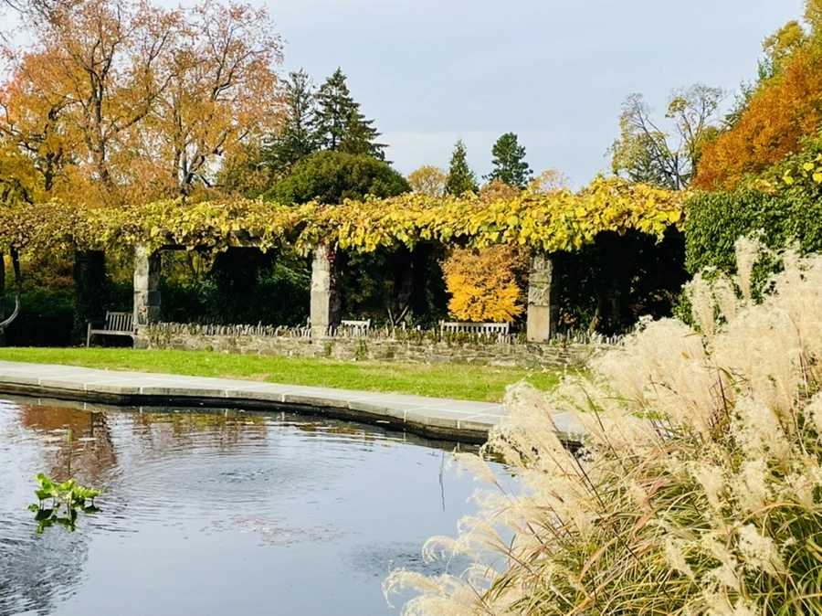 IMG_2390.jpg?type=w966