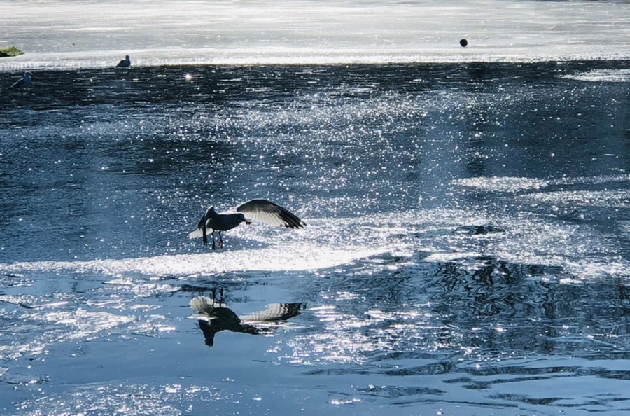 IMG_8051.jpg?type=w966