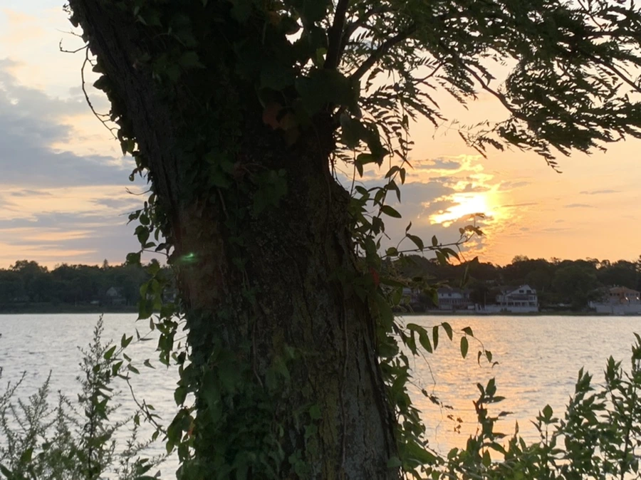 IMG_1784.jpg?type=w966