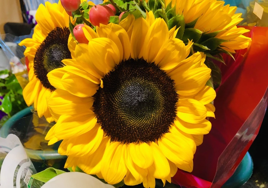 IMG_2974.jpg?type=w966