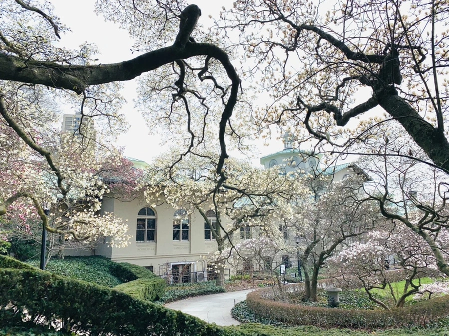 IMG_7294.jpg?type=w966