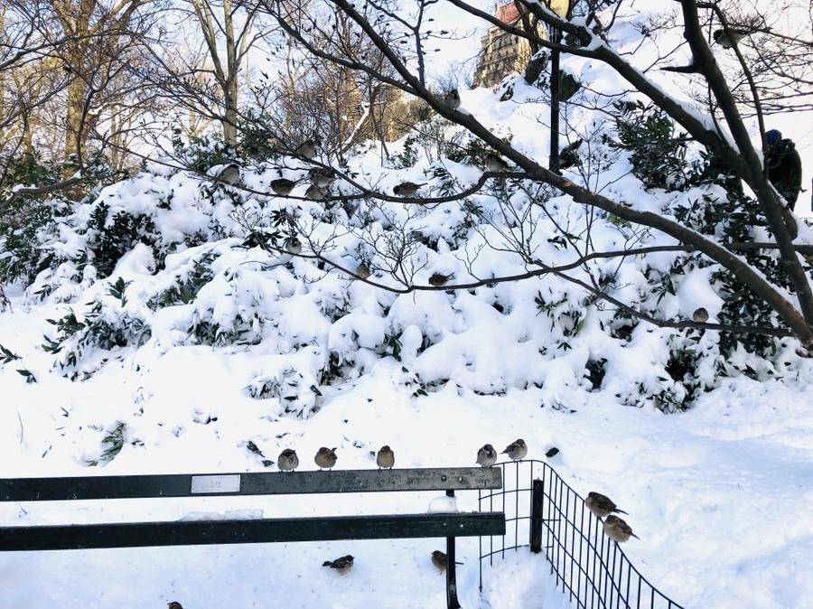 IMG_7198.jpg?type=w966