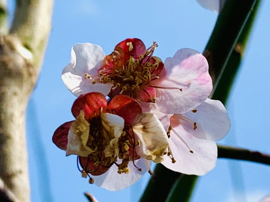 IMG_4205.jpg?type=w966