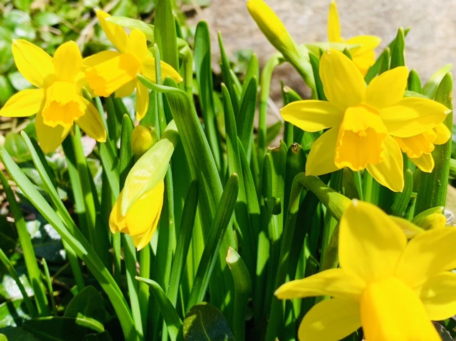 IMG_3267.jpg?type=w966