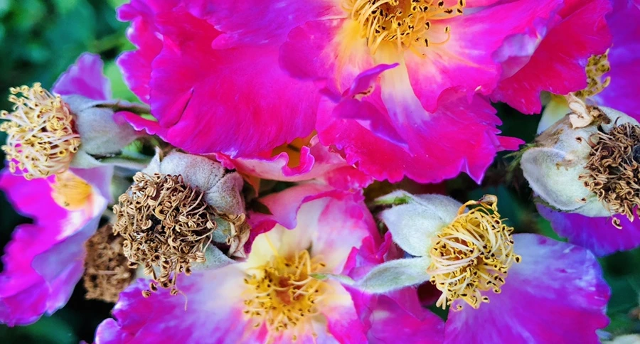 IMG_9641.jpg?type=w966