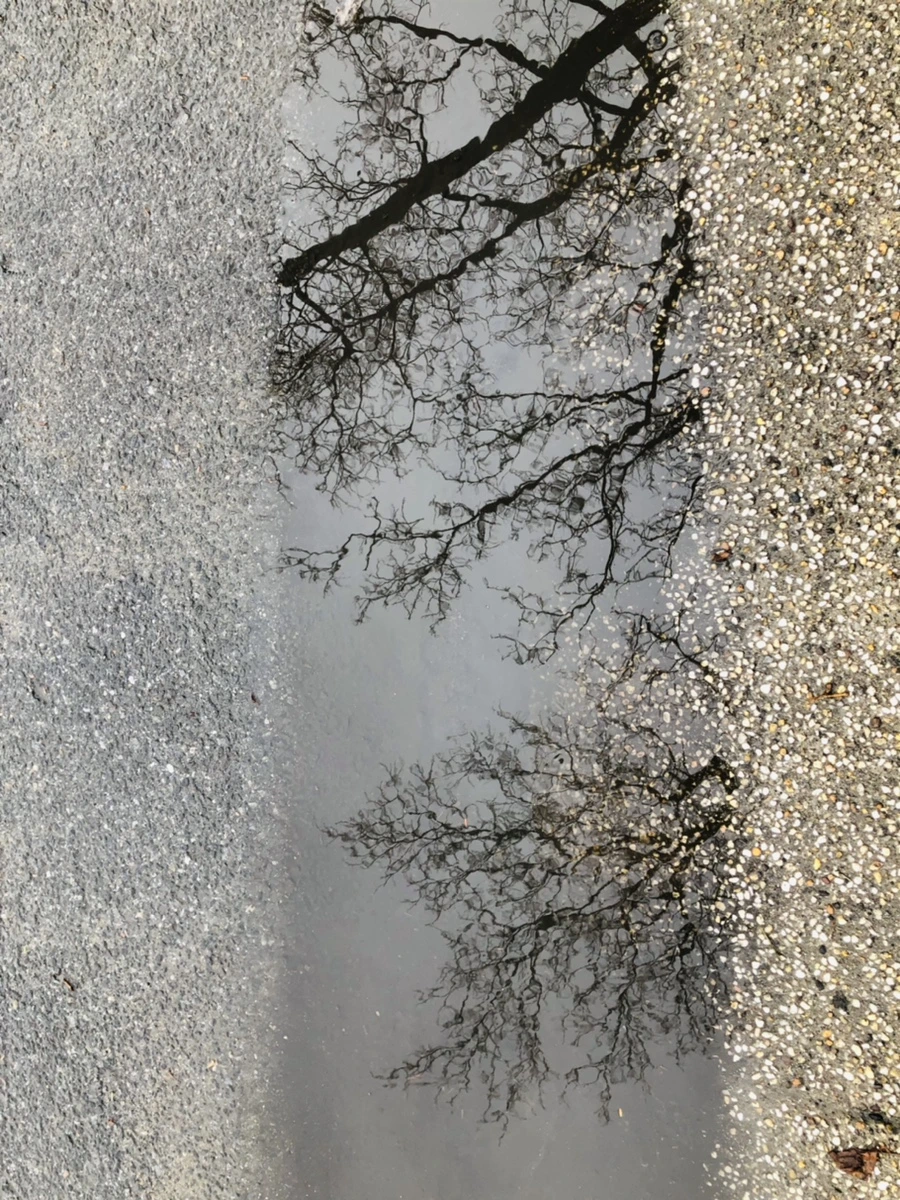 IMG_9353.jpg?type=w966