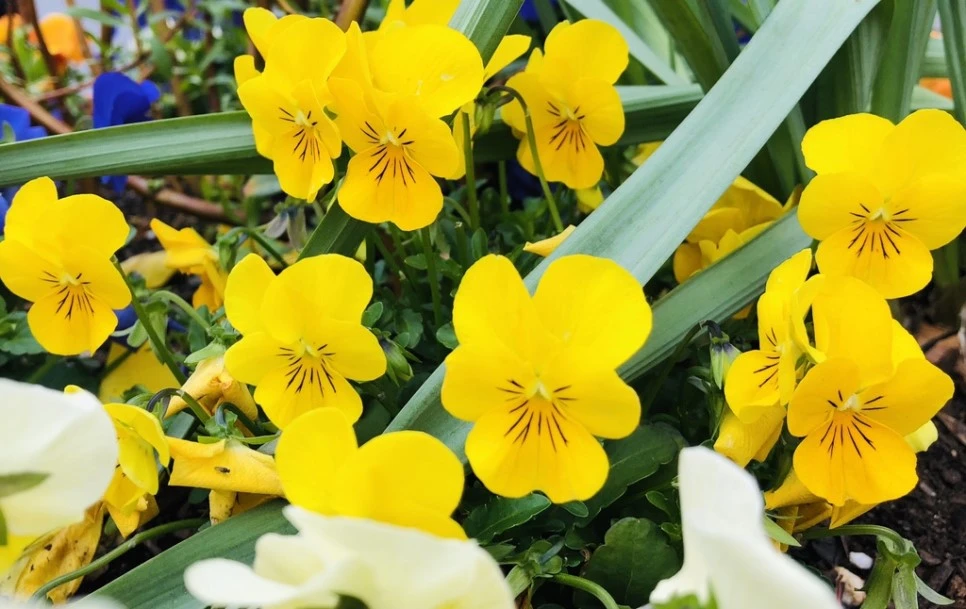 IMG_3891.jpg?type=w966