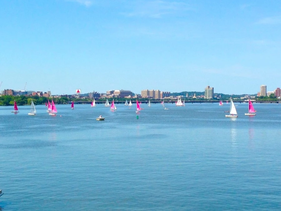 IMG_0408.JPG?type=w1