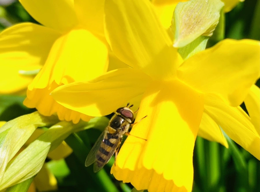 IMG_3257.jpg?type=w966