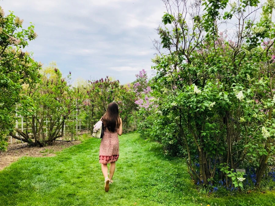 IMG_5471.jpg?type=w966