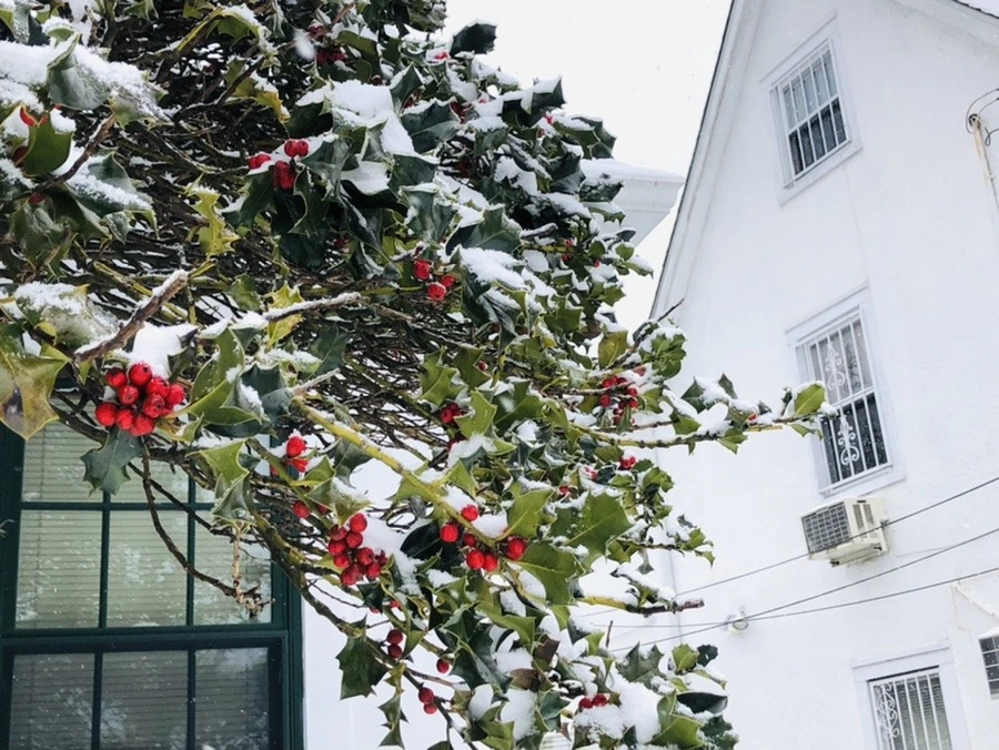 g7CaBI8nk-Gv6wXV0_gxdwS8Z0c