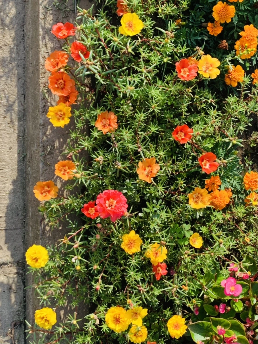 IMG_6645.jpg?type=w966