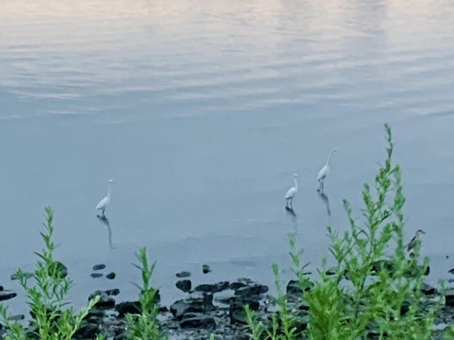 IMG_9600.jpg?type=w966