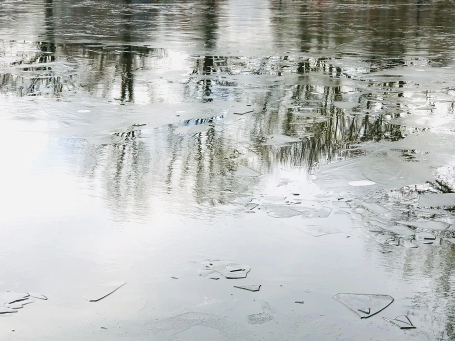 IMG_4784.jpg?type=w966