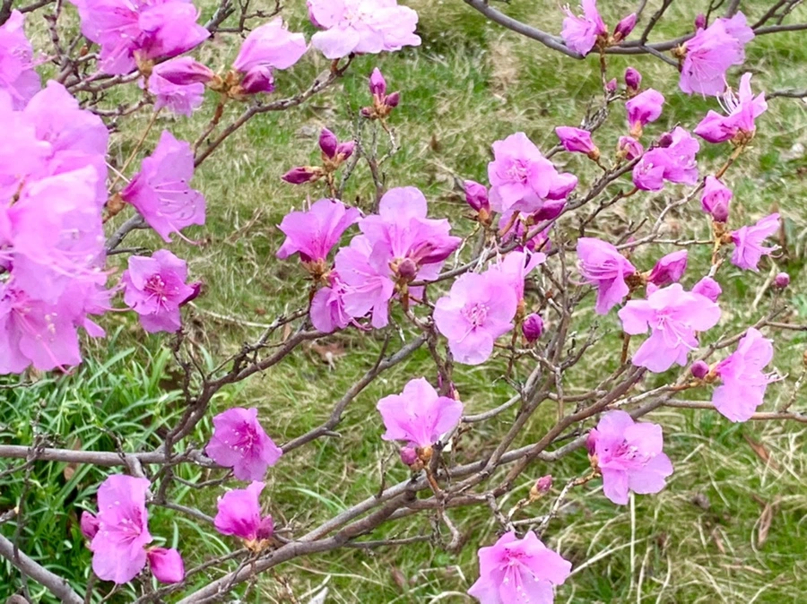 IMG_5994.jpg?type=w966