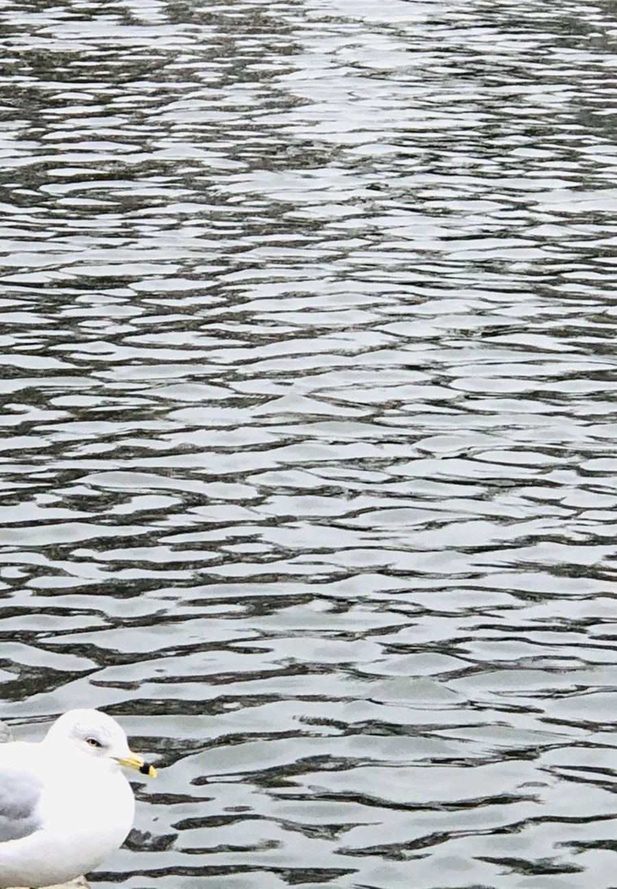 IMG_9610.jpg?type=w966