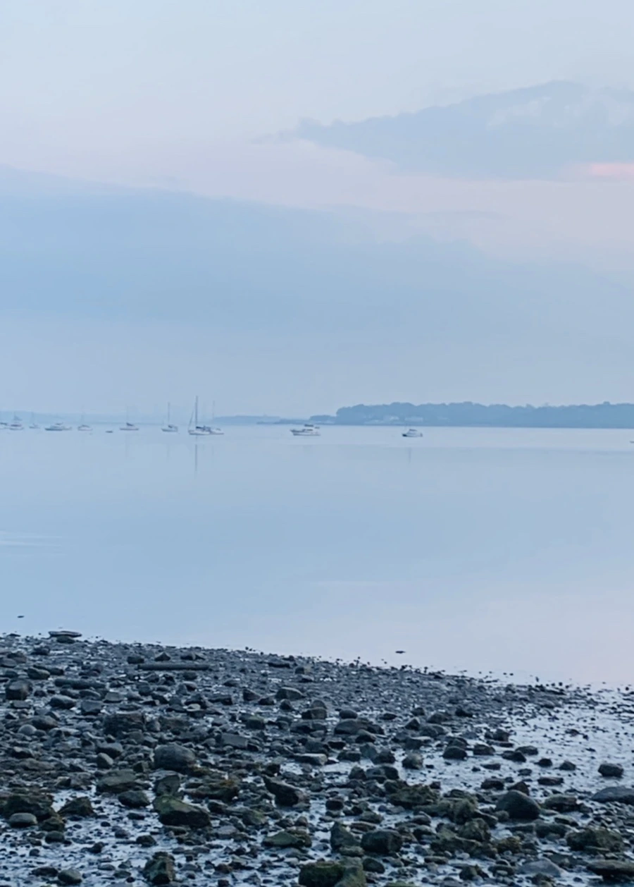 IMG_8177.jpg?type=w966