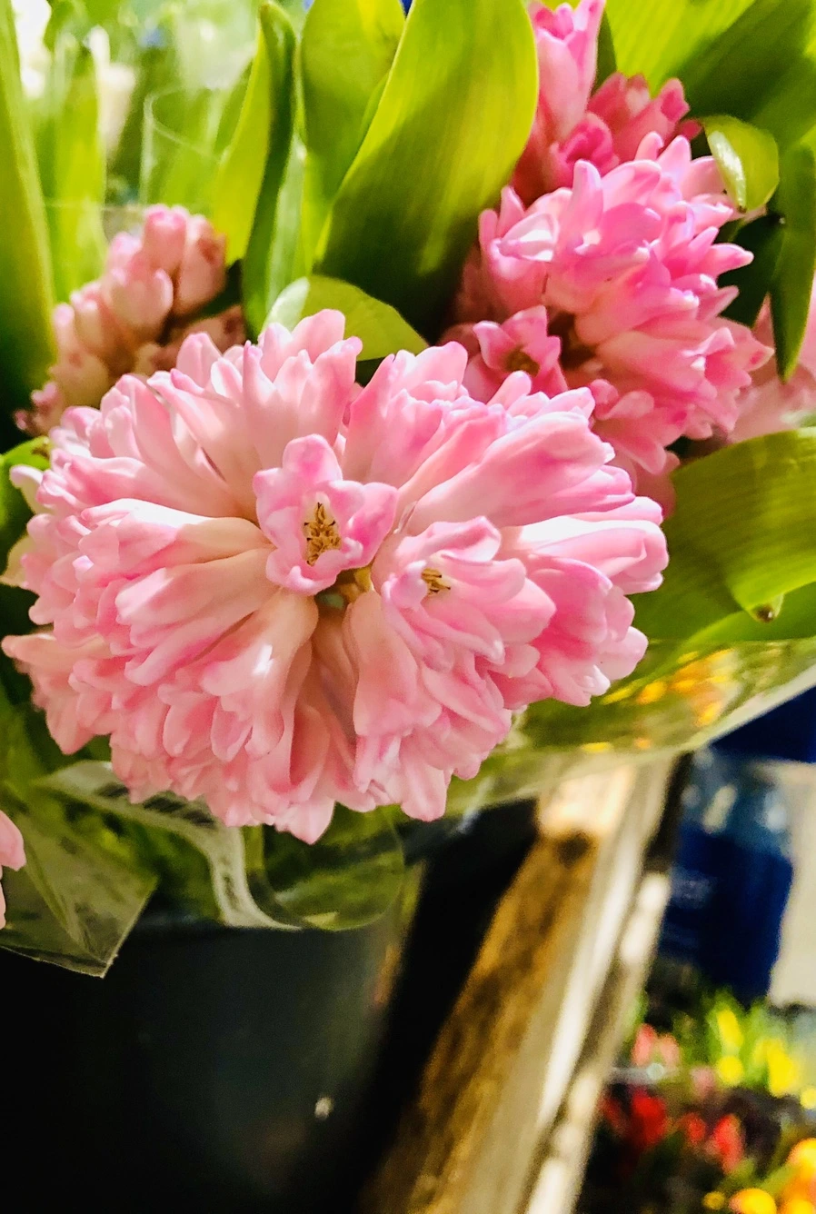 IMG_6394.jpg?type=w966