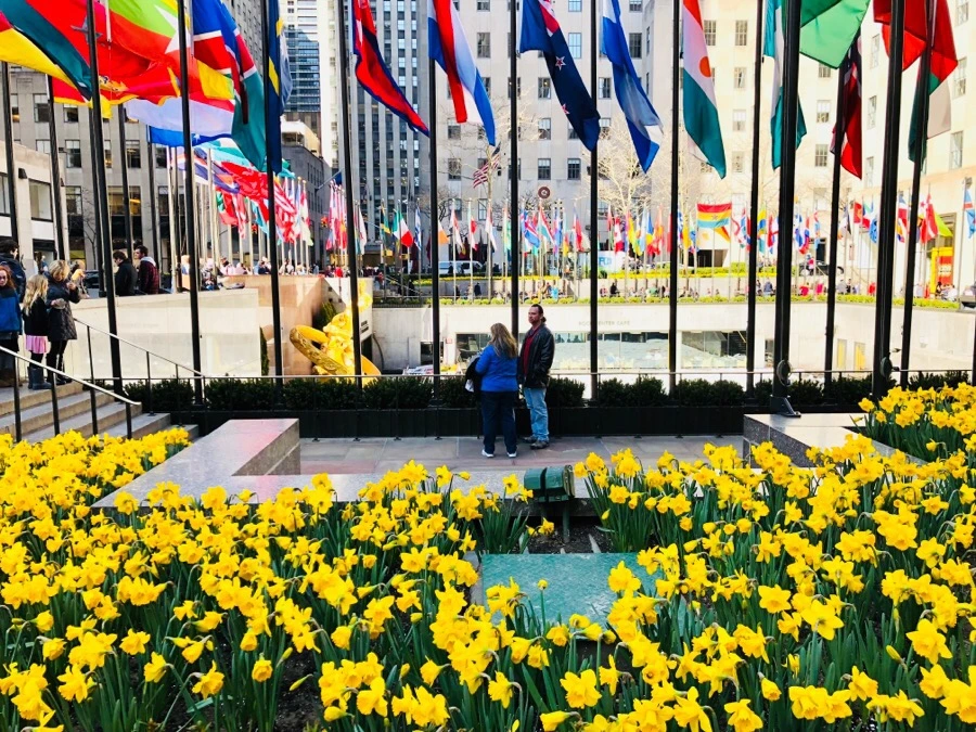 IMG_4483.jpg?type=w966