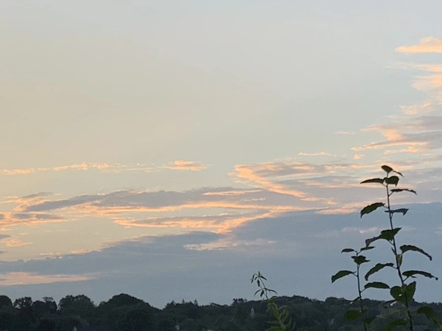 IMG_1218.jpg?type=w966