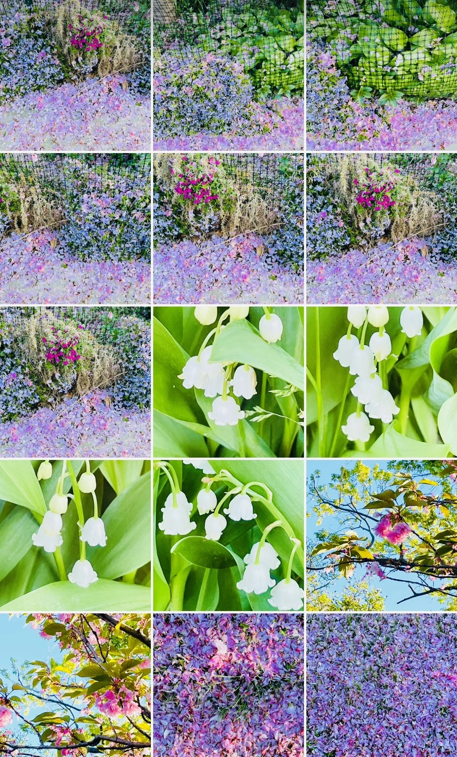 IMG_6059.jpg?type=w966