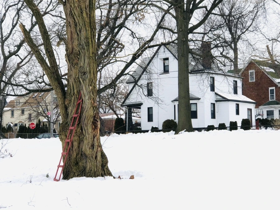 IMG_2762.jpg?type=w966