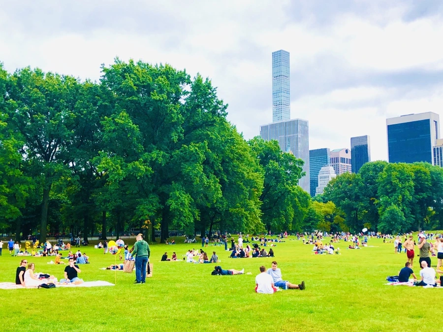 IMG_1040.jpg?type=w966