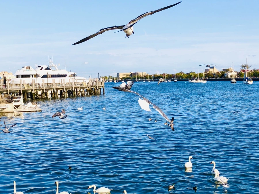 IMG_1427.jpg?type=w966