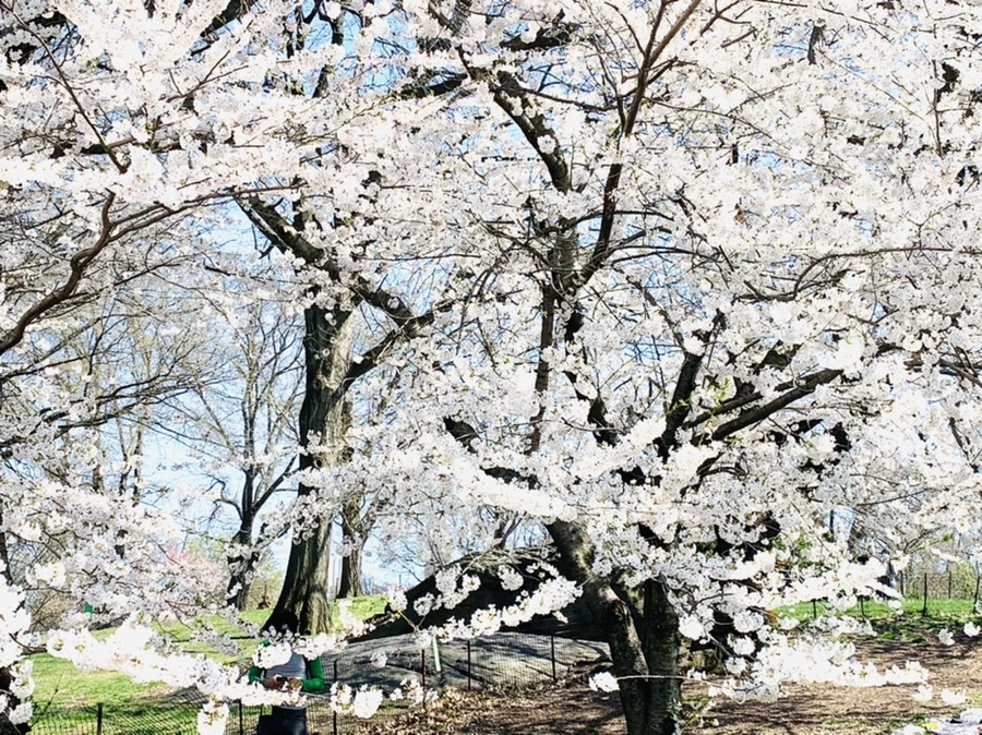 IMG_8994.jpg?type=w966