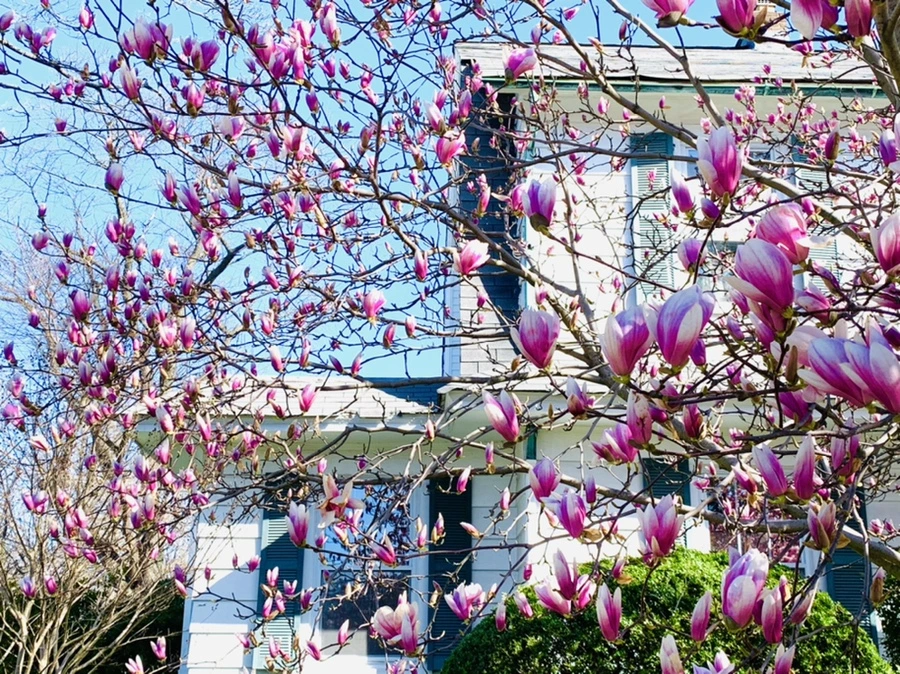 IMG_7505.jpg?type=w966