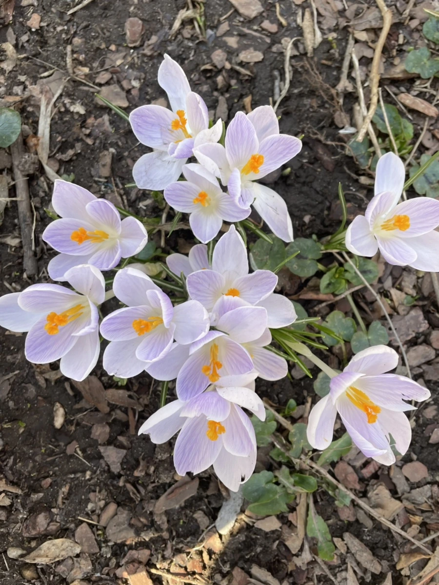 IMG_5869.jpg?type=w966